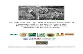 Abundancia y Densidad de Jaguares en el Oeste del Parque ...caftadr-environment.org/wp-content/uploads/2016/04/...la abundancia estimada por medio del programa CAPTURE® y dividida
