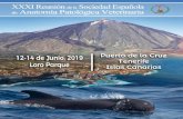 XXXI Reunión de la SEAPV - IUSA SEAPV... · 2019. 7. 5. · XXXI Reunión de la SEAPV Puerto de La Cruz, junio 2019 7 Programa Científico Miércoles 12 de junio de 2019 Sala Pueblo
