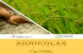 BUENAS PRÁCTICAS AGRÍCOLASextwprlegs1.fao.org/docs/pdf/ecu165988.pdf · 2017. 5. 12. · la irrigación de cultivos y otras actividades conexas o complementarias que establezcan