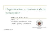 Organización e ilusiones de la percepción 16... · 2019. 12. 27. · Percepción. Universidad Complutense de Madrid 41. Percepción. nuestra versión de la realidad. Influencias
