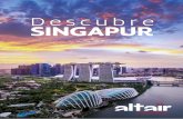 Descubre SINGAPUR · 2021. 3. 9. · la ciudad se presenta al mundo. En Sin-gapur, la pasión está donde quiera que mires: en todo lo que se crea, cocina, pin-ta, diseña, planta