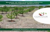 Manual de restauración forestal · 2018. 1. 12. · Contenido Presentación 6 Introducción 6 Capítulo I. Planeación 9 1.1 Áreas elegibles para la restauración forestal y reconversión