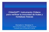 ChileGAP · 2011. 4. 27. · –Incorpora la Inocuidad como un aspecto transversal. –Es el único protocolo que logra responder simultáneamente a los requerimientos de inocuidad