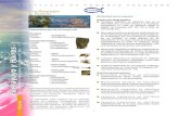 Cochayuyo y huiros - SUBPESCA · 2013. 4. 5. · RECURSOS OBJETIVO AREAS DE MANEJO PESCA ARTESANAL - CHILE Localización de la pesquería: La pesquería de algas pardas se distribuye