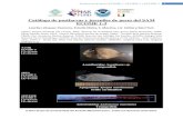 Catalogo de peces ECOME - MAR Fundmarfund.org/.../09/2015-Sep-Catalogo-Peces-SAM-ECOMES.pdf · 2020. 4. 12. · Postlarvas de peces ECOME 1, ECOME 2 y ECOME 3 1 . Catálogo de postlarvas
