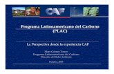 Programa Latinoamericano del Carbono (PLAC) Transp. 37,4% * Incluye Agua, ... gases efecto invernadero (GEI) mediante la participación del sector público, ... Canadá y Japón. Enfoque