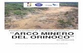 Derechos humanos en el contexto del proyecto “ARCO MINERO … · 2020. 9. 21. · Derechos humanos en el contexto del proyecto “ARCO MINERO DEL ORINOCO” en Venezuela Audicencia