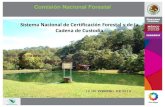 Grupo de trabajo: SEMARNAT- CONAFOR-PROFEPA...Forestal Certificado de Cumplimiento Ambiental Certificado de Manejo Sustentable del los Bosques Certificado del Buen Manejo Forestal