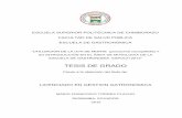 TESIS DE GRADO - DSpace ESPOCH.: Página de iniciodspace.espoch.edu.ec/bitstream/123456789/10444/1/84T... · 2019. 4. 25. · CERTIFICACIÓN Los miembros de la tesis certifican que