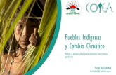 Pueblos Indígenas y Cambio Climático - CEPAL · 2021. 7. 1. · forestales locales suelen reinvertir una parte de sus beneficios de las ventas en programas de educación,salud y