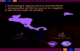 Estrategia agricultura sostenible adaptada al clima para la ... ASAC...7 El proceso de formulación de la Estrategia agricultura sostenible adaptada al clima para la región del SICA