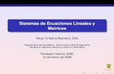 Sistemas de Ecuaciones Lineales y MatricesSistemas de Ecuaciones Lineales y Matrices Oscar G Ibarra-Manzano, DSc Departamento de Area B´asica - Tronco Com ´un DES de Ingenier ´ıas