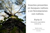 Insectos presentes en bosques nativos y en forestaciones con … · 2019. 6. 13. · Es una plaga polifitófaga, se encuentra en monte nativo sobre el cedro misionero ( Cedrela sp)