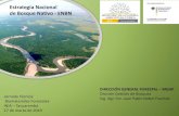 Estrategia Nacional de Bosque Nativo - ENBNºblicos/INIA Tacuarembó/2019...del bosque nativo para incrementar los beneficios. 2. Ampliar las capacidades institucionales y técnicas