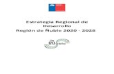 Estrategia Regional de Desarrollo Región de Ñuble 2020 - 2028...Estrategia Regional de Desarrollo de la Región de Ñuble 2020-2028 Página 3 de 147 I.3.1 Caracterización regional