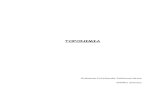 TOPONIMIA · 2016. 12. 12. · 1999-2003 EPEALDIAREN BALANTZEA Toponimia-metodologiako eskuliburua Lana: toponimia-metodologiako eskuliburua. Egilea:Hizkuntza Politikarako Sailburuordetza.