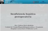 Insuficiencia hepática postoperatoriasociedadvalencianadecirugia.com/wp-content/uploads/2020/... · 2020. 2. 10. · Grados de Insuficiencia Hepática Grado A Parámetros analíticos
