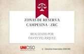 REALIZADO POR DAVID VELÁSQUEZ - Portal Uniciso · 2020. 10. 2. · Militarización – Fumigación de tierras Compra masiva de tierras; acumulación de tierras y desplazamiento del