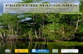 PROYECTO MANGLARES · 2014. 11. 5. · La vida al borde del manglar 5 El motor que mueve Cayo Quemado ... para la protección del mangle en Bluefields y ... manglares para cumplir