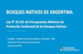 BOSQUES NATIVOS DE ARGENTINA Obras Hidráulicas · 2019. 7. 2. · 2012 $ 300.085.190 $ 233.889.092 2013 $ 253.000.000 $ 198.828.846 ... menos un 20 % de cobertura arbustiva de especies