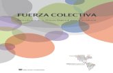 FUERZA COLECTIVA - Alianza Regional · 2019. 11. 18. · Mayo 2013 // Alianza Regional por la Libre Expresión e Información FUERZA COLECTIVA Aprendizajes de la Alianza Regional