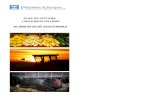COMERÇ SOSTENIBLE CONSUM RESPONSABLEbibarnabloc.cat/wp-content/uploads/2021/01/Guia-Alimenta...Los tomates de verdad son feos Barcelona: M. Bruscas Bellido, cop. 2018 • Cooperativisme