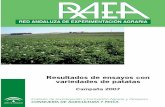 R.A.E.A. · 2013. 3. 13. · tual sobre el comportamiento de las variedades ensayadas, que pueden servir de mues-tra representativa de la patata temprana y de media estación, sembrada