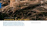 pastos y forrajes - Axon Comunicacion · 2021. 2. 17. · Figura 1. Factores que afectan a la productividad de los pastos (Lazemb , 1964). Producción vegetal Sistemas de manejo y