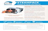 STEAMPACK - Babcock Wanson · 2021. 3. 8. · STEAMPACK CALDERA DE VAPOR PIROTUBULAR SteamPack modelo 3.5 4.0 5.0 6.0 7.0 8.0 Salida de vapor (1) 3 500Kg/h kW 4 000 5 000 6 000 7