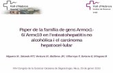 Paper de la família de gens Armcx1 - 6/Armc10 en … · 2016. 2. 19. · Paper de la família de gens Armcx1 - 6/Armc10 en l’esteatohepatitis no alcohòlica i el carcinoma hepatocel·lular.