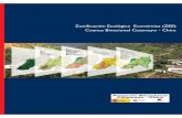 Zonificación Ecológica Económica (ZEE) Cuenca Binacional … · 2007. 11. 20. · Zonificación Ecológica Económica. Esta unidad integrada final fue analizada, mediante matrices
