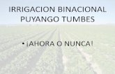 IRRIGACION BINACIONAL PUYANGO TUMBES · CALCULO DEL INCREMENTO DEL EMPLEO EN TUMBES / PERU (en puestos de trabajo por cada millón de producción agrícola adicional) 0 - 4 5 - 13