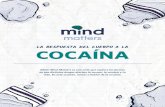 La respuesta del cuerpo a la Cocaína - NIDA for Teens · 2020. 11. 23. · de dopamina que produce la droga y entonces otras actividades saludables resultan menos interesantes o