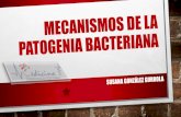 PATOGENICIDAD - Weebly...patogenicidad: habilidad de un microorganismo para producir enfermedad en un huÉsped. se relaciona con la virulencia del microorganismo. ... los mecanismos
