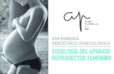 ENFERMERÍA OBSTÉTRICO-GINECOLÓGICA FISIOLOGÍA DEL APARATO REPRODUCTOR FEMENINO · 2020. 11. 1. · tema 2: fisiologÍa del aparato reproductor femenino i (eog) algunos autores