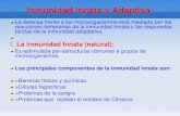 Inmunidad Innata y Adaptiva · 2013. 10. 23. · Inmunidad Innata y Adaptiva La defensa frente a los microorganismos está mediada por las reacciones tempranas de la inmunidad innata