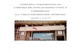 COMPENDIO JURISPRUDENCIAL · 2018. 10. 4. · compendio jurisprudencial cÁmara de apelaciones civil y comercial 1ra. circunscripcion judicial salas i, ii y iii 1