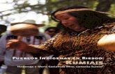 Kumiais. Pueblos Indígenas en Riesgo - Gobierno | gob.mx= El sapo enamorado (3 min., 52 seg.) ; 14. Sha ja mumulj puit owii kowai okuaitiya = La perdiz llora bajo la piedra (2 min.,