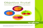 Objetivo frutal - Syngenta · Soluciones para frutales de hueso ® 2020 Syngenta. Todos los derechos reservados. ™ y ® son marcas comerciales del Grupo Syngenta. Use los productos