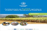 Fortalecimiento de PyMES el sector cañero azucarero de ...La presente publicación ha sido elaborada en el marco del proyecto “Fortalecimiento de PyMEs agrícolas del sector cañero