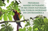 PROGRAMA MANEJO INTEGRADO DE RECURSOS NATURALES … · 2021. 4. 20. · Petén-Biósfera Maya-Golfo de Honduras-Biósfera de la Fraternidad/Trifinio Cuchumatanes Maya Mopán, ...
