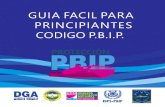 GUIA FACIL PARA PRINCIPIANTES CODIGO P.B.I.P. · 2019. 11. 7. · GUIA FACIL PARA PRINCIPIANTES CODIGO P.B.I.P. PROTECCIÓN DGT A-MTI. Puerto Corinto Puerto Arlen Siú-El Rama Puerto