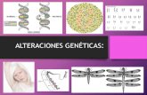 ALTERACIONES GENÉTICAS · 2019. 6. 11. · mutaciones cromosómicas hacen que un segmento del cromosoma desaparezca durante la replicación. Un ejemplo de un trastorno genético