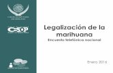 Legalización de la marihuana · 2016. 4. 7. · 5 Resumen ejecutivo En lo general, de manera mayoritaria, la ciudadanía desaprueba (64%) la legalización del uso de la cannabis