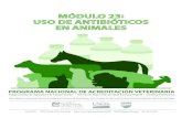 MÓDULO 23: USO DE ANTIBIÓTICOS EN ANIMALES...prevenir las enfermedades de los animales. Muchas de estas enfermedades son causadas por una bacteria y requieren la administración