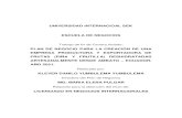 UNIVERSIDAD INTERNACIOAL SEK ESCUELA DE NEGOCIOS · 2021. 5. 11. · TÍTULO PLAN DE NEGOCIO Plan de negocio para la creación de una empresa productora y exportadora de frutas (piña