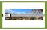 Proyecto Paisajes para la conservación – Bosque seco · 2017. 1. 11. · 1:250.000, tales como parches de Bosque Seco Tropical, Uso y Cobertura de la tierra e información base