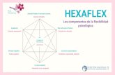 Paz & Felicidadpazyfelicidad.org/hexaflex_componentes_flexibilidad... · 2020. 10. 30. · Procesos de cambio y compromiso conductual Procesos de aceptación y atención plena Por