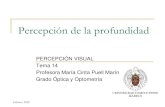 PERCEPCIÓN VISUAL Tema 14 Profesora María Cinta Puell Marín … 14... · 2020. 2. 14. · estereopsis. es la . percepción de profundidad binocular . basada en la estimulación