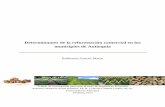 Determinantes de la reforestación comercial en los ...bibliotecadigital.udea.edu.co/dspace/bitstream/10495/2998...Internacional - CCI, 2009). Antioquia ha establecido la meta de sembrar